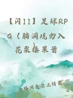 【闪11】足球RPG（脑洞坑勿入）