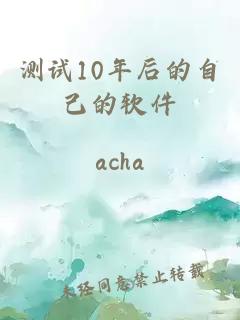 测试10年后的自己的软件