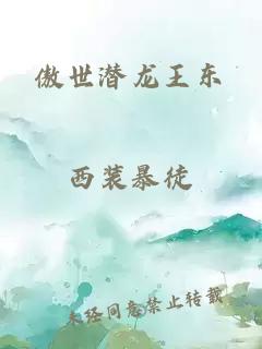 傲世潜龙王东